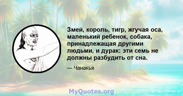 Змей, король, тигр, жгучая оса, маленький ребенок, собака, принадлежащая другими людьми, и дурак: эти семь не должны разбудить от сна.