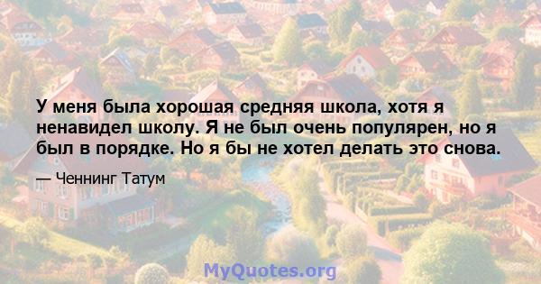 У меня была хорошая средняя школа, хотя я ненавидел школу. Я не был очень популярен, но я был в порядке. Но я бы не хотел делать это снова.