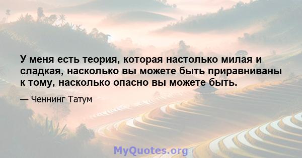 У меня есть теория, которая настолько милая и сладкая, насколько вы можете быть приравниваны к тому, насколько опасно вы можете быть.