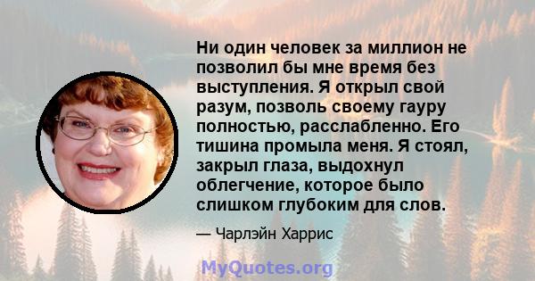 Ни один человек за миллион не позволил бы мне время без выступления. Я открыл свой разум, позволь своему гауру полностью, расслабленно. Его тишина промыла меня. Я стоял, закрыл глаза, выдохнул облегчение, которое было