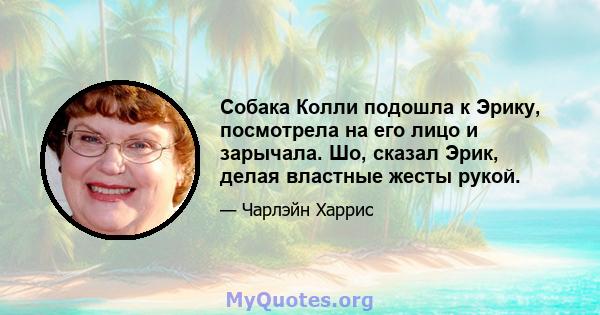 Собака Колли подошла к Эрику, посмотрела на его лицо и зарычала. Шо, сказал Эрик, делая властные жесты рукой.