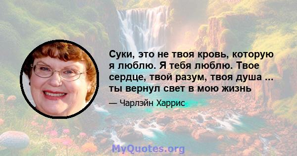 Суки, это не твоя кровь, которую я люблю. Я тебя люблю. Твое сердце, твой разум, твоя душа ... ты вернул свет в мою жизнь