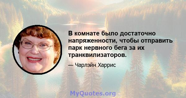 В комнате было достаточно напряженности, чтобы отправить парк нервного бега за их транквилизаторов.