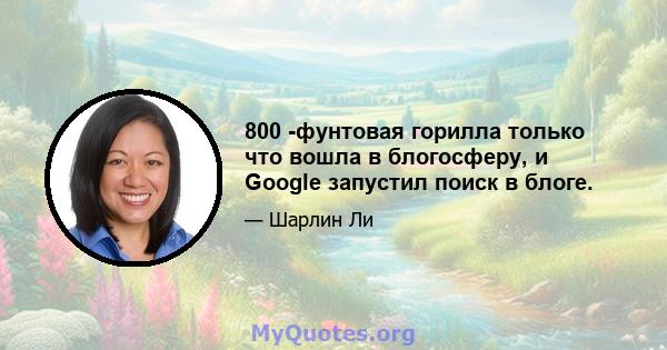 800 -фунтовая горилла только что вошла в блогосферу, и Google запустил поиск в блоге.