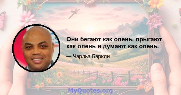 Они бегают как олень, прыгают как олень и думают как олень.