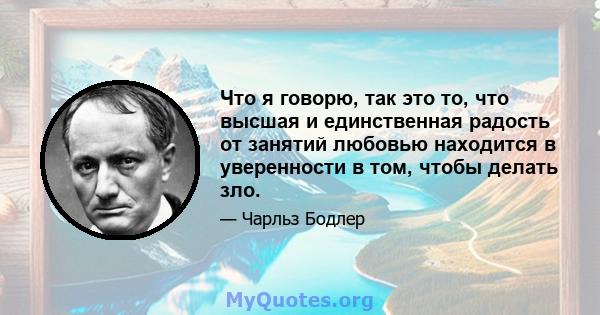 Что я говорю, так это то, что высшая и единственная радость от занятий любовью находится в уверенности в том, чтобы делать зло.