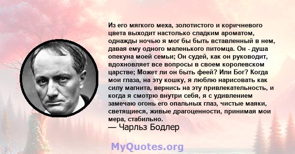 Из его мягкого меха, золотистого и коричневого цвета выходит настолько сладким ароматом, однажды ночью я мог бы быть вставленный в нем, давая ему одного маленького питомца. Он - душа опекуна моей семьи; Он судей, как он 