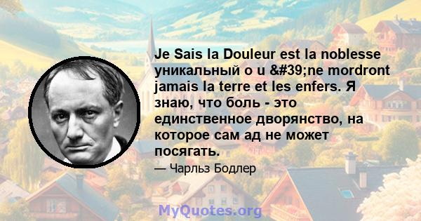 Je Sais la Douleur est la noblesse уникальный o u 'ne mordront jamais la terre et les enfers. Я знаю, что боль - это единственное дворянство, на которое сам ад не может посягать.