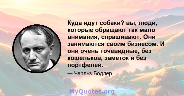 Куда идут собаки? вы, люди, которые обращают так мало внимания, спрашивают. Они занимаются своим бизнесом. И они очень точевидные, без кошельков, заметок и без портфелей.