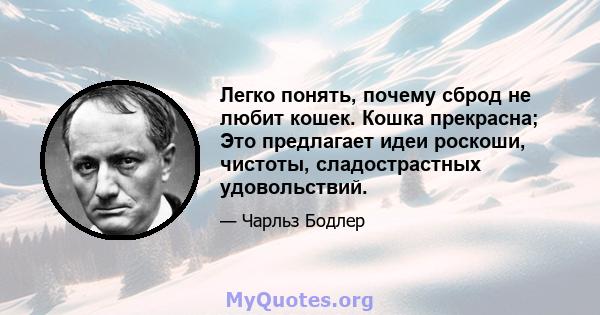 Легко понять, почему сброд не любит кошек. Кошка прекрасна; Это предлагает идеи роскоши, чистоты, сладострастных удовольствий.