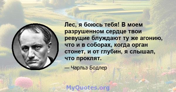 Лес, я боюсь тебя! В моем разрушенном сердце твои ревущие блуждают ту же агонию, что и в соборах, когда орган стонет, и от глубин, я слышал, что проклят.