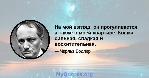 На мой взгляд, он прогуливается, а также в моей квартире. Кошка, сильная, сладкая и восхитительная.