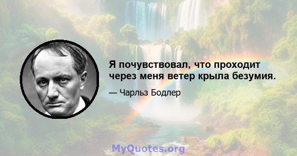 Я почувствовал, что проходит через меня ветер крыла безумия.