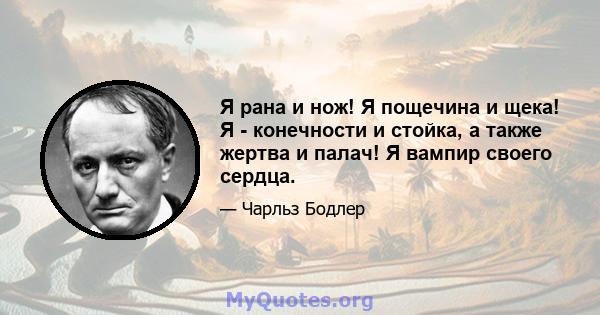 Я рана и нож! Я пощечина и щека! Я - конечности и стойка, а также жертва и палач! Я вампир своего сердца.