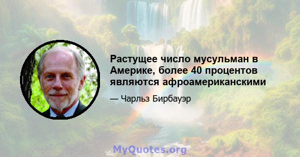 Растущее число мусульман в Америке, более 40 процентов являются афроамериканскими