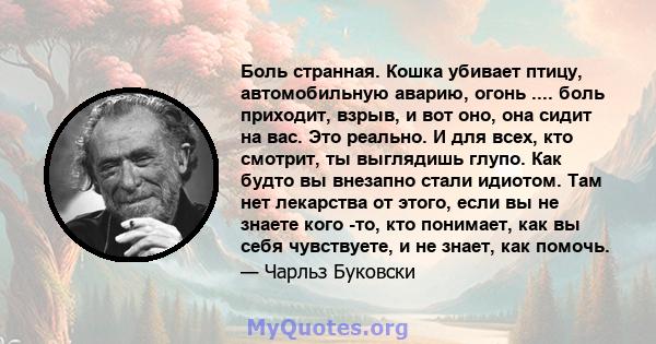 Боль странная. Кошка убивает птицу, автомобильную аварию, огонь .... боль приходит, взрыв, и вот оно, она сидит на вас. Это реально. И для всех, кто смотрит, ты выглядишь глупо. Как будто вы внезапно стали идиотом. Там