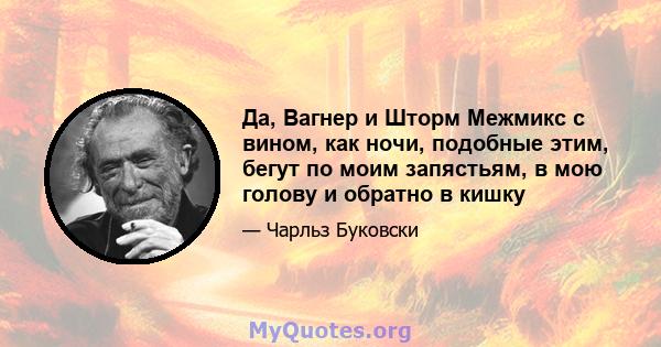 Да, Вагнер и Шторм Межмикс с вином, как ночи, подобные этим, бегут по моим запястьям, в мою голову и обратно в кишку