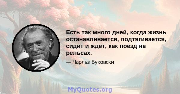 Есть так много дней, когда жизнь останавливается, подтягивается, сидит и ждет, как поезд на рельсах.