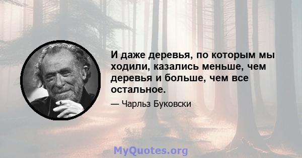 И даже деревья, по которым мы ходили, казались меньше, чем деревья и больше, чем все остальное.