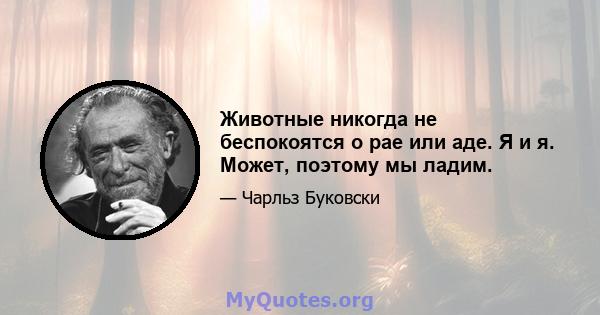 Животные никогда не беспокоятся о рае или аде. Я и я. Может, поэтому мы ладим.