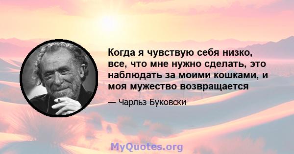 Когда я чувствую себя низко, все, что мне нужно сделать, это наблюдать за моими кошками, и моя мужество возвращается