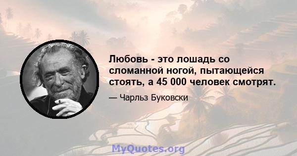 Любовь - это лошадь со сломанной ногой, пытающейся стоять, а 45 000 человек смотрят.