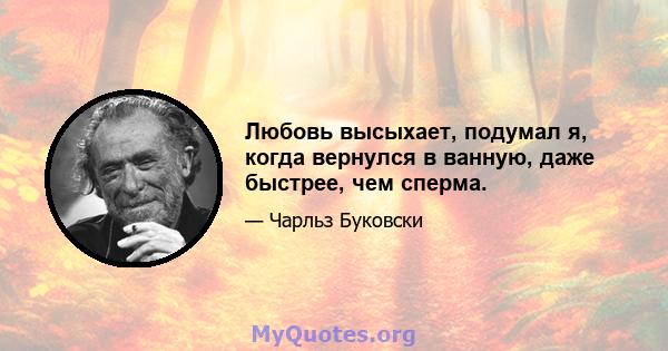 Любовь высыхает, подумал я, когда вернулся в ванную, даже быстрее, чем сперма.