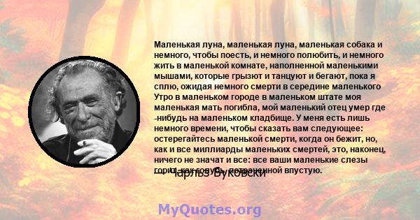 Маленькая луна, маленькая луна, маленькая собака и немного, чтобы поесть, и немного полюбить, и немного жить в маленькой комнате, наполненной маленькими мышами, которые грызют и танцуют и бегают, пока я сплю, ожидая