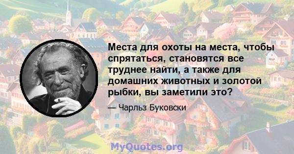 Места для охоты на места, чтобы спрятаться, становятся все труднее найти, а также для домашних животных и золотой рыбки, вы заметили это?