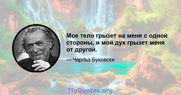 Мое тело грызет на меня с одной стороны, и мой дух грызет меня от другой.