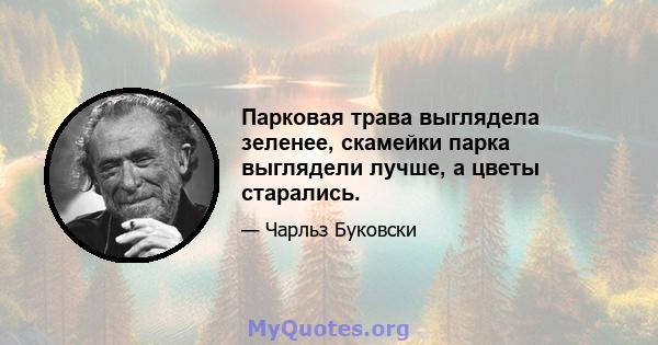 Парковая трава выглядела зеленее, скамейки парка выглядели лучше, а цветы старались.