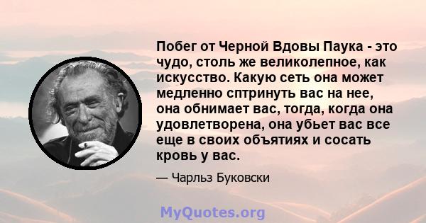 Побег от Черной Вдовы Паука - это чудо, столь же великолепное, как искусство. Какую сеть она может медленно сптринуть вас на нее, она обнимает вас, тогда, когда она удовлетворена, она убьет вас все еще в своих объятиях