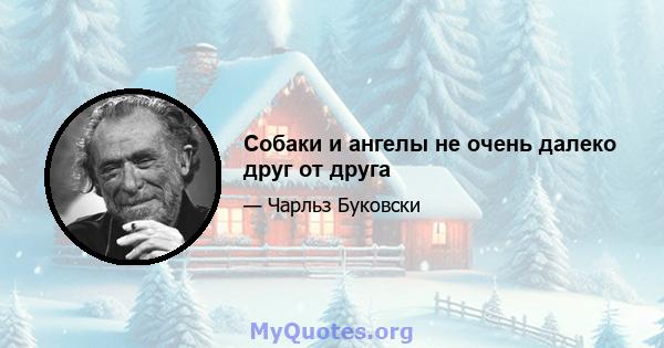 Собаки и ангелы не очень далеко друг от друга