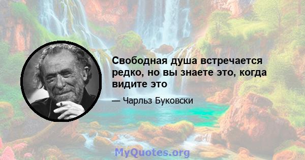 Свободная душа встречается редко, но вы знаете это, когда видите это