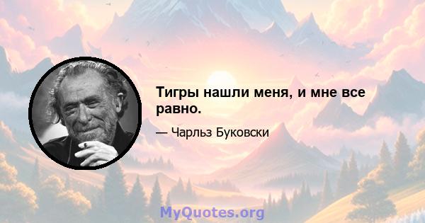 Тигры нашли меня, и мне все равно.