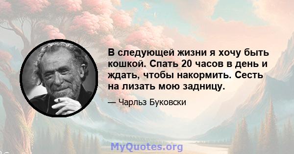 В следующей жизни я хочу быть кошкой. Спать 20 часов в день и ждать, чтобы накормить. Сесть на лизать мою задницу.