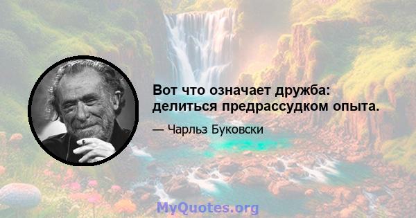 Вот что означает дружба: делиться предрассудком опыта.