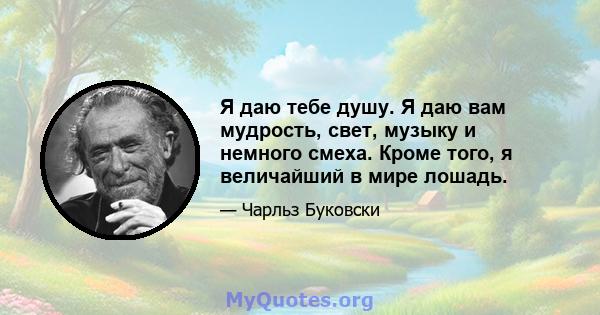 Я даю тебе душу. Я даю вам мудрость, свет, музыку и немного смеха. Кроме того, я величайший в мире лошадь.