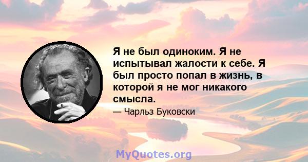 Я не был одиноким. Я не испытывал жалости к себе. Я был просто попал в жизнь, в которой я не мог никакого смысла.