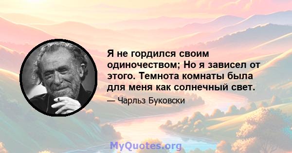 Я не гордился своим одиночеством; Но я зависел от этого. Темнота комнаты была для меня как солнечный свет.