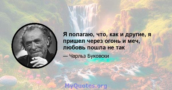 Я полагаю, что, как и другие, я пришел через огонь и меч, любовь пошла не так