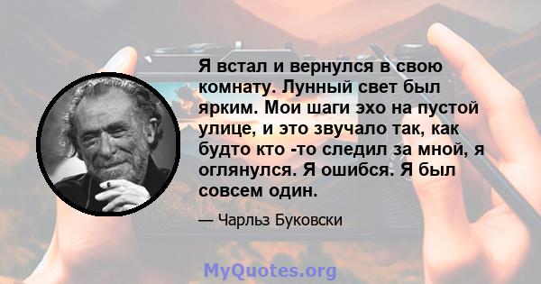 Я встал и вернулся в свою комнату. Лунный свет был ярким. Мои шаги эхо на пустой улице, и это звучало так, как будто кто -то следил за мной, я оглянулся. Я ошибся. Я был совсем один.