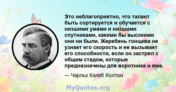 Это неблагоприятно, что талант быть сортируется и обучается с низшими умами и низшими спутниками, какими бы высокими они ни были. Жеребень гонщика не узнает его скорость и не вызывает его способности, если он застрял с