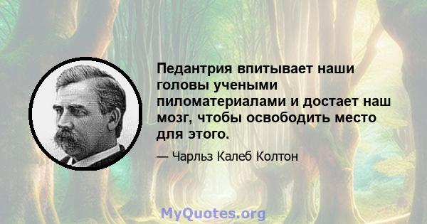 Педантрия впитывает наши головы учеными пиломатериалами и достает наш мозг, чтобы освободить место для этого.