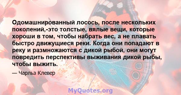 Одомашнированный лосось, после нескольких поколений,-это толстые, вялые вещи, которые хороши в том, чтобы набрать вес, а не плавать быстро движущиеся реки. Когда они попадают в реку и размножаются с дикой рыбой, они