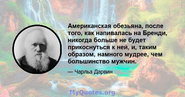 Американская обезьяна, после того, как напивалась на Бренди, никогда больше не будет прикоснуться к ней, и, таким образом, намного мудрее, чем большинство мужчин.