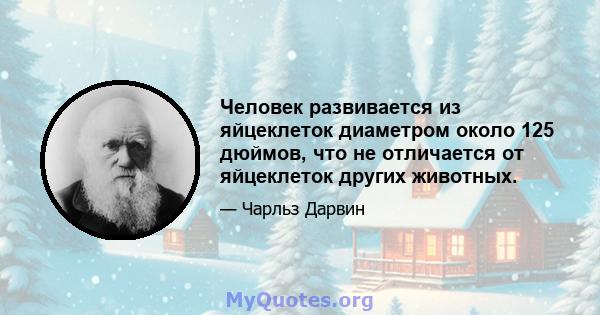 Человек развивается из яйцеклеток диаметром около 125 дюймов, что не отличается от яйцеклеток других животных.