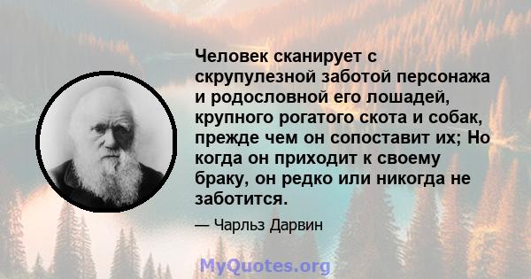 Человек сканирует с скрупулезной заботой персонажа и родословной его лошадей, крупного рогатого скота и собак, прежде чем он сопоставит их; Но когда он приходит к своему браку, он редко или никогда не заботится.