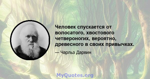 Человек спускается от волосатого, хвостового четвероногих, вероятно, древесного в своих привычках.