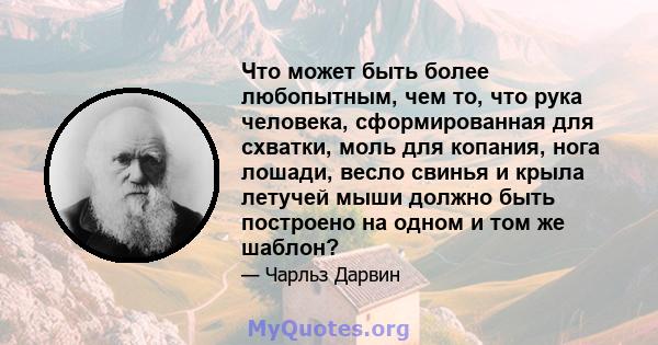 Что может быть более любопытным, чем то, что рука человека, сформированная для схватки, моль для копания, нога лошади, весло свинья и крыла летучей мыши должно быть построено на одном и том же шаблон?